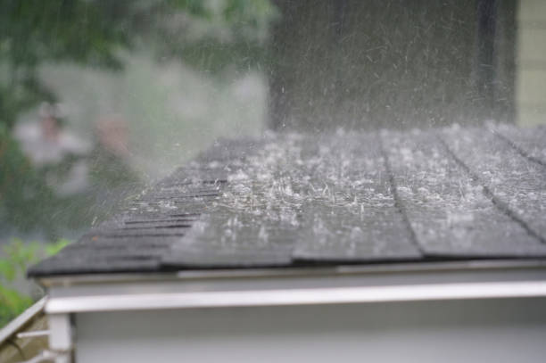 Best Roof Moss and Algae Removal  in English, IN